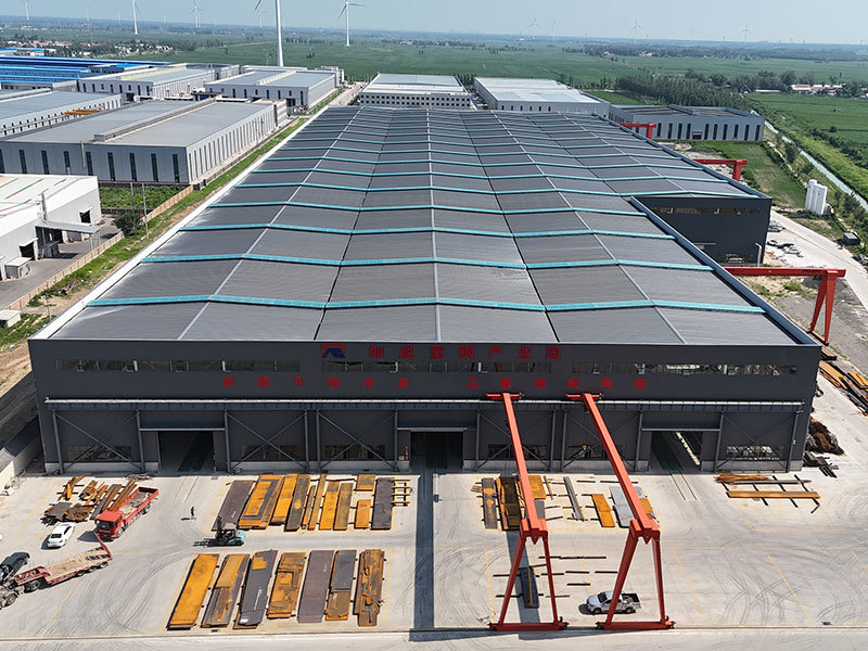 Heavy Steel Structure Plant 1
