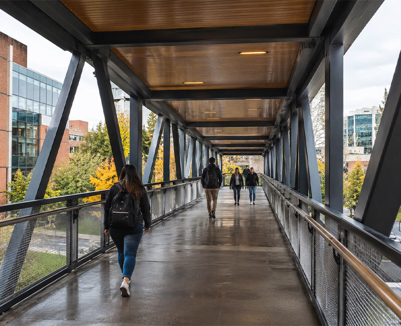 Custom Steel Pedestrian Bridge