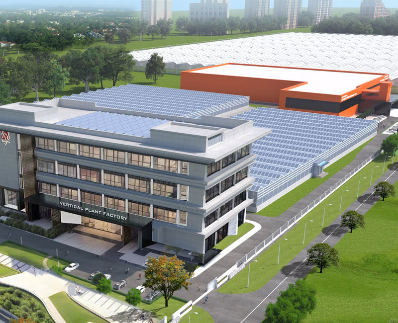 Modern Agricultural Park Steel Structure Greenhouse